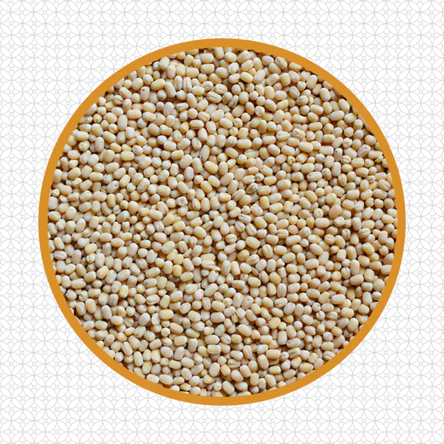 ホワイトウラッド